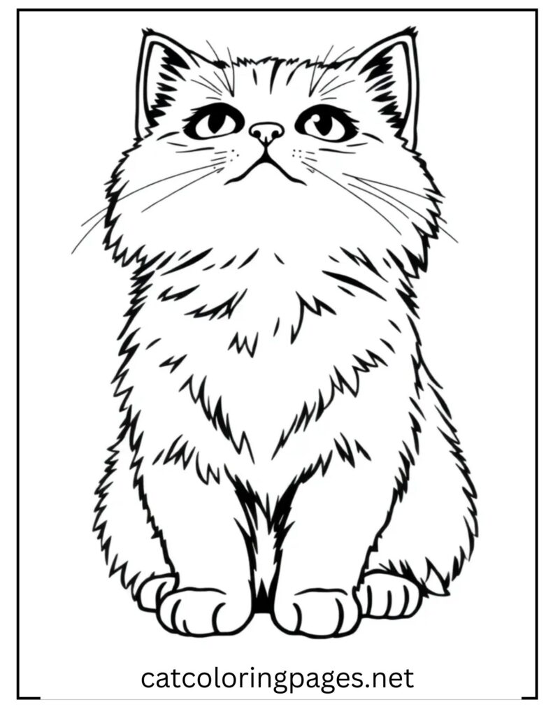 cat_looking_above_free_cat_coloring-pages