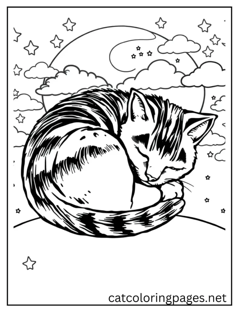 sleeping_adult_cat
