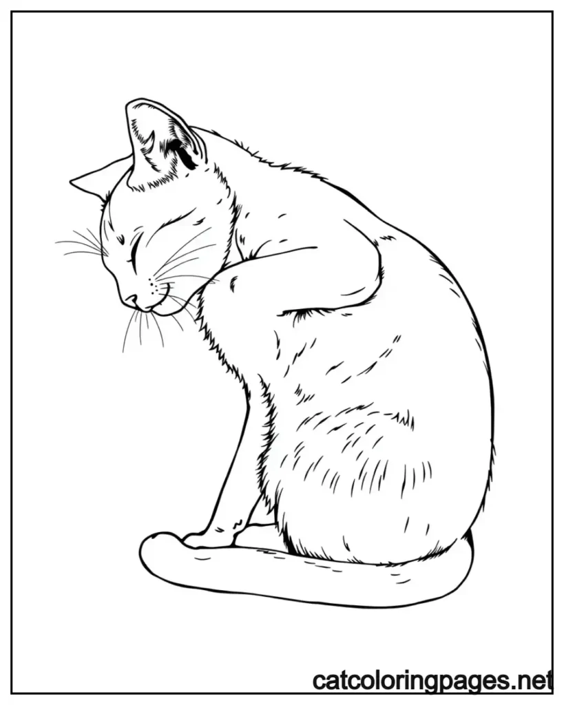 realistic-cat-coloring-pages-cat-nap-in-morning