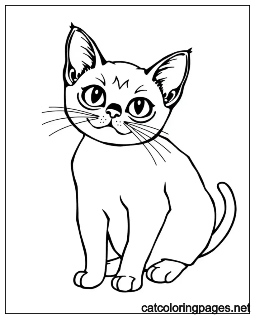 siamese-realistic-cat-coloring-pages