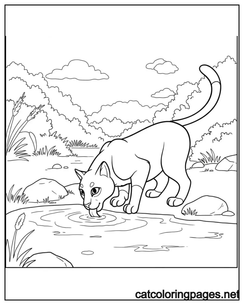 warrior-cats-coloring-page-warrior-cat-drinking-from-river